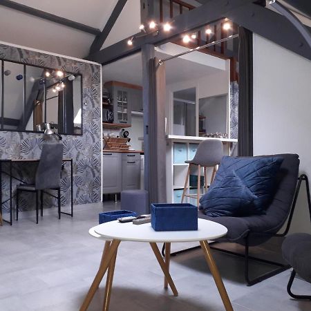 Loft Haut De Gamme Centre Montargis, Place De Parking, Local A Velos, Linge De Lits Et Serviettes, Coin Riviere Amenage, Hamac, Epicerie, Velos En Option, Tout Confort Jusqu'A 4 Voyageurs Eksteriør billede
