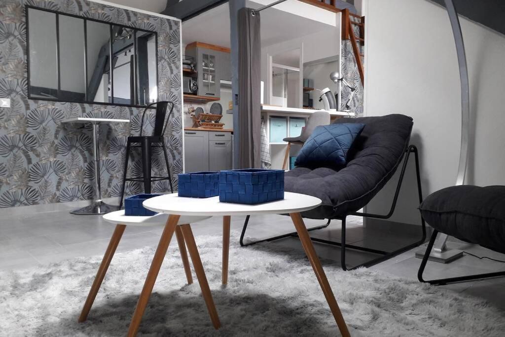 Loft Haut De Gamme Centre Montargis, Place De Parking, Local A Velos, Linge De Lits Et Serviettes, Coin Riviere Amenage, Hamac, Epicerie, Velos En Option, Tout Confort Jusqu'A 4 Voyageurs Eksteriør billede