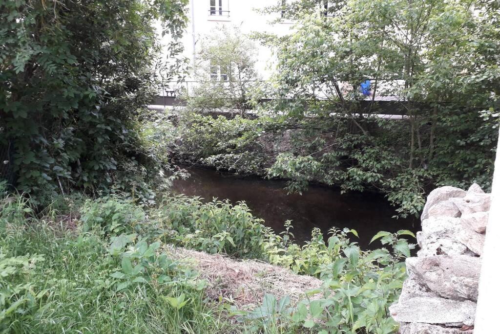 Loft Haut De Gamme Centre Montargis, Place De Parking, Local A Velos, Linge De Lits Et Serviettes, Coin Riviere Amenage, Hamac, Epicerie, Velos En Option, Tout Confort Jusqu'A 4 Voyageurs Eksteriør billede