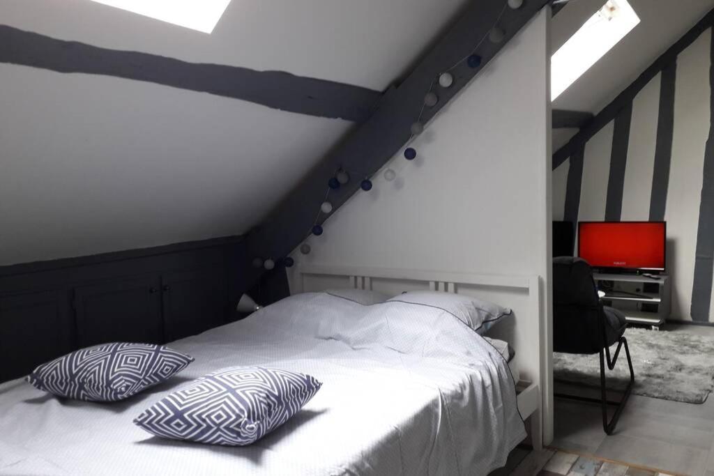 Loft Haut De Gamme Centre Montargis, Place De Parking, Local A Velos, Linge De Lits Et Serviettes, Coin Riviere Amenage, Hamac, Epicerie, Velos En Option, Tout Confort Jusqu'A 4 Voyageurs Eksteriør billede