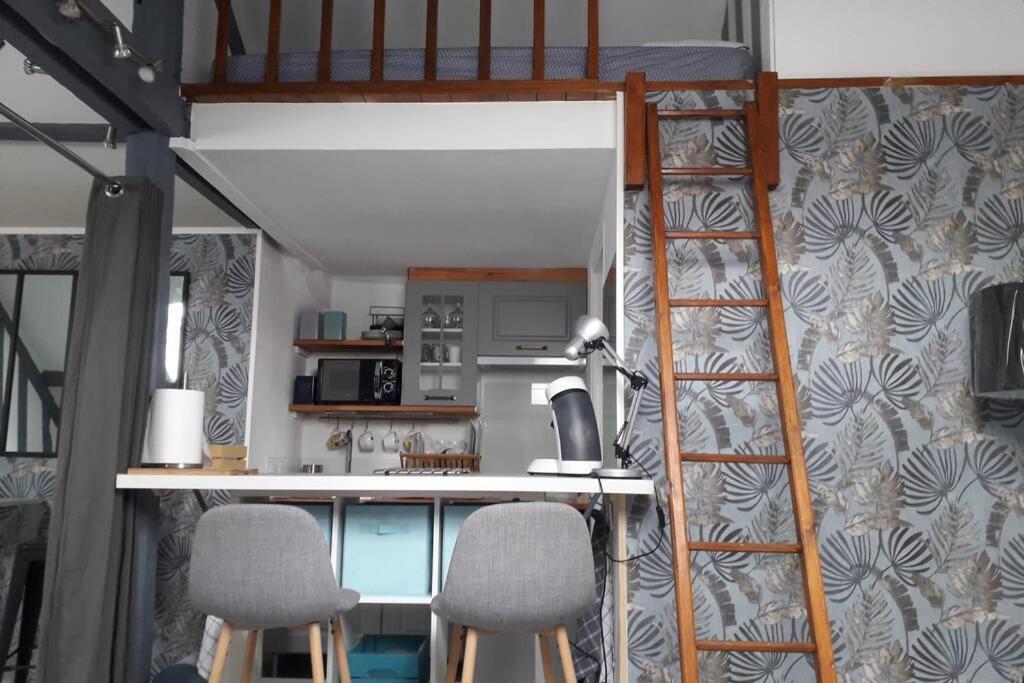 Loft Haut De Gamme Centre Montargis, Place De Parking, Local A Velos, Linge De Lits Et Serviettes, Coin Riviere Amenage, Hamac, Epicerie, Velos En Option, Tout Confort Jusqu'A 4 Voyageurs Eksteriør billede