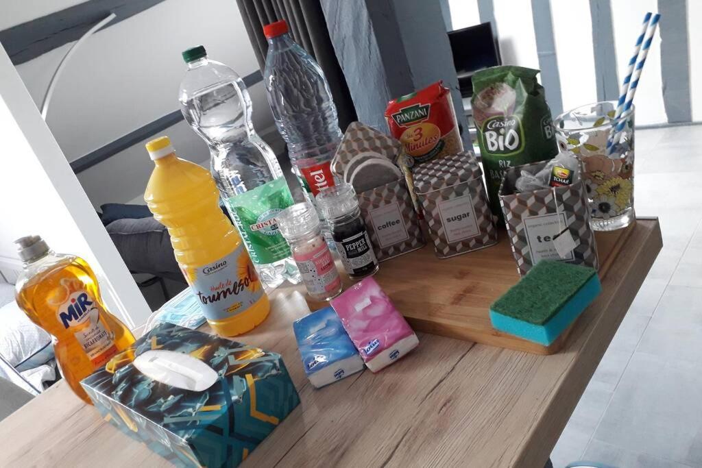 Loft Haut De Gamme Centre Montargis, Place De Parking, Local A Velos, Linge De Lits Et Serviettes, Coin Riviere Amenage, Hamac, Epicerie, Velos En Option, Tout Confort Jusqu'A 4 Voyageurs Eksteriør billede