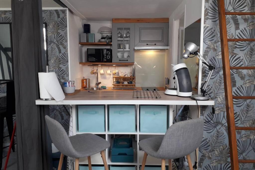 Loft Haut De Gamme Centre Montargis, Place De Parking, Local A Velos, Linge De Lits Et Serviettes, Coin Riviere Amenage, Hamac, Epicerie, Velos En Option, Tout Confort Jusqu'A 4 Voyageurs Eksteriør billede