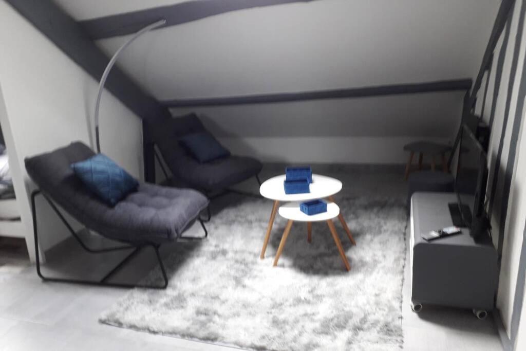 Loft Haut De Gamme Centre Montargis, Place De Parking, Local A Velos, Linge De Lits Et Serviettes, Coin Riviere Amenage, Hamac, Epicerie, Velos En Option, Tout Confort Jusqu'A 4 Voyageurs Eksteriør billede