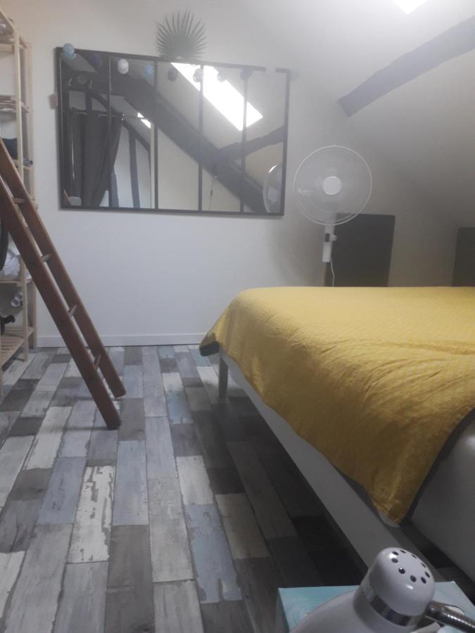Loft Haut De Gamme Centre Montargis, Place De Parking, Local A Velos, Linge De Lits Et Serviettes, Coin Riviere Amenage, Hamac, Epicerie, Velos En Option, Tout Confort Jusqu'A 4 Voyageurs Eksteriør billede