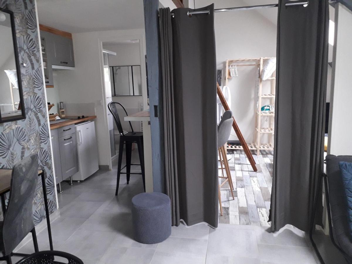 Loft Haut De Gamme Centre Montargis, Place De Parking, Local A Velos, Linge De Lits Et Serviettes, Coin Riviere Amenage, Hamac, Epicerie, Velos En Option, Tout Confort Jusqu'A 4 Voyageurs Eksteriør billede