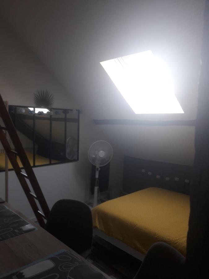 Loft Haut De Gamme Centre Montargis, Place De Parking, Local A Velos, Linge De Lits Et Serviettes, Coin Riviere Amenage, Hamac, Epicerie, Velos En Option, Tout Confort Jusqu'A 4 Voyageurs Eksteriør billede