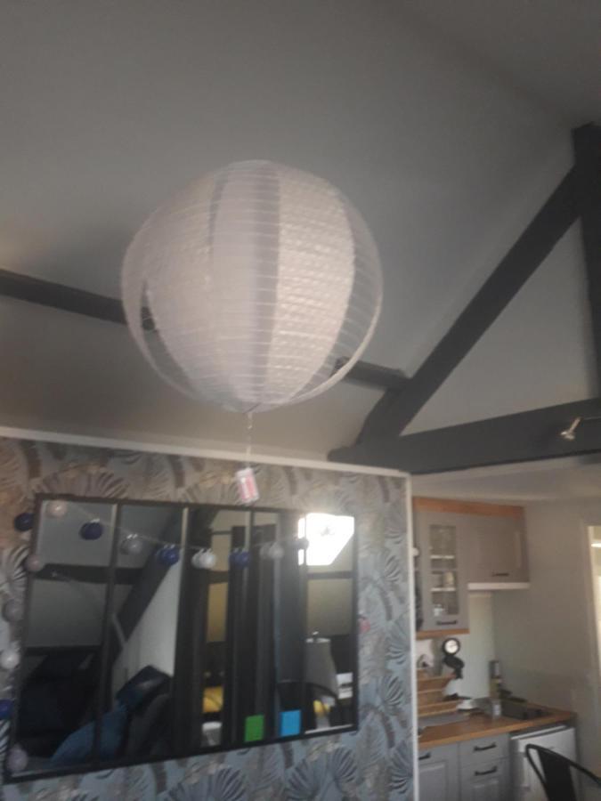 Loft Haut De Gamme Centre Montargis, Place De Parking, Local A Velos, Linge De Lits Et Serviettes, Coin Riviere Amenage, Hamac, Epicerie, Velos En Option, Tout Confort Jusqu'A 4 Voyageurs Eksteriør billede
