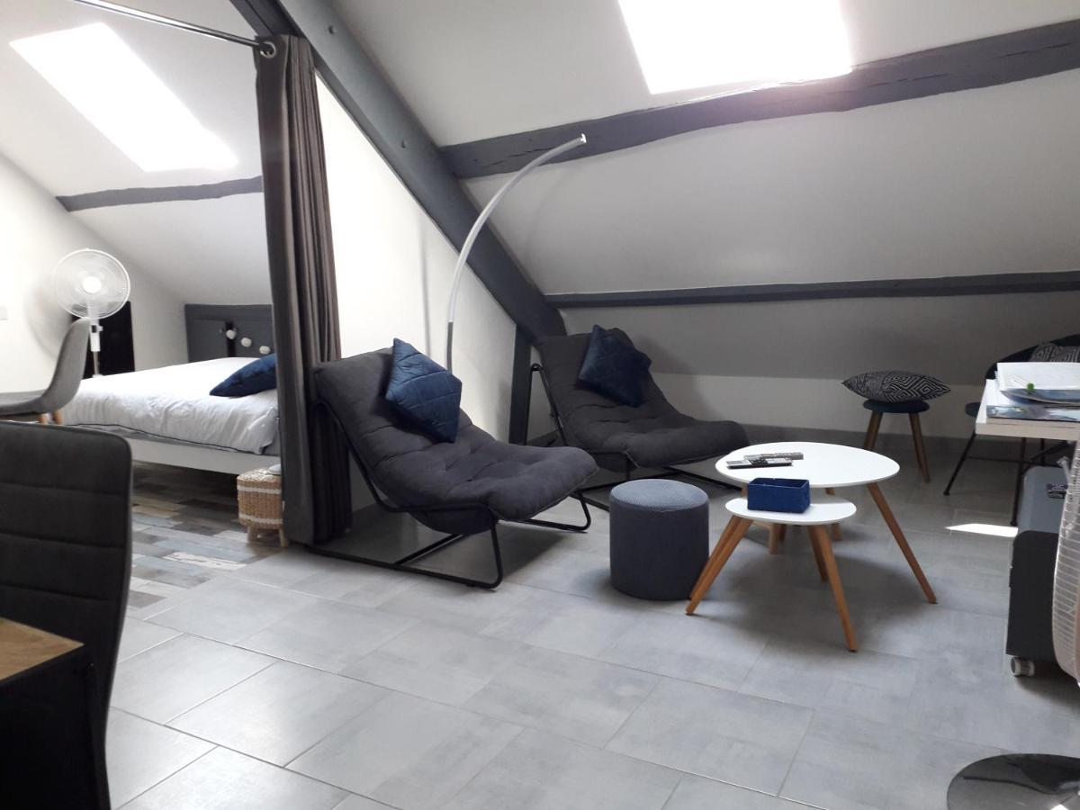Loft Haut De Gamme Centre Montargis, Place De Parking, Local A Velos, Linge De Lits Et Serviettes, Coin Riviere Amenage, Hamac, Epicerie, Velos En Option, Tout Confort Jusqu'A 4 Voyageurs Eksteriør billede