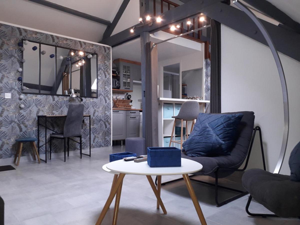 Loft Haut De Gamme Centre Montargis, Place De Parking, Local A Velos, Linge De Lits Et Serviettes, Coin Riviere Amenage, Hamac, Epicerie, Velos En Option, Tout Confort Jusqu'A 4 Voyageurs Eksteriør billede